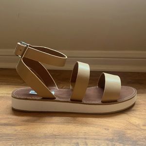 Steve maddden Marky sandal